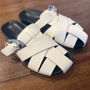 Aerosols Liberty Mules